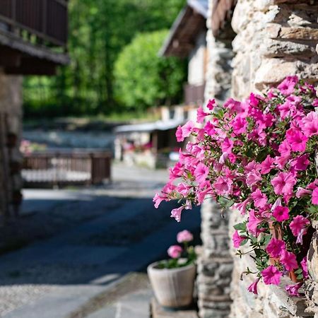 Il Sogno Della Vita Agriresort - Country Rooms & Suites Peveragno Exterior foto